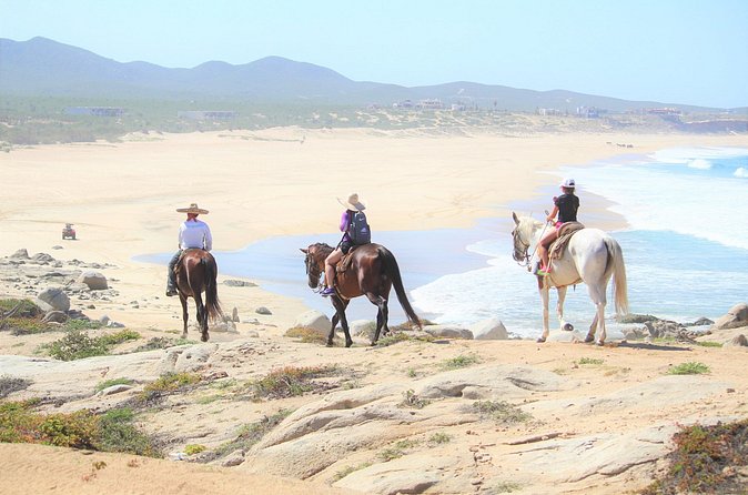Combo Adventure with RZR and ATV or HBR and Tequila Tasting - Price and Value: What $179.33 Really Becomes