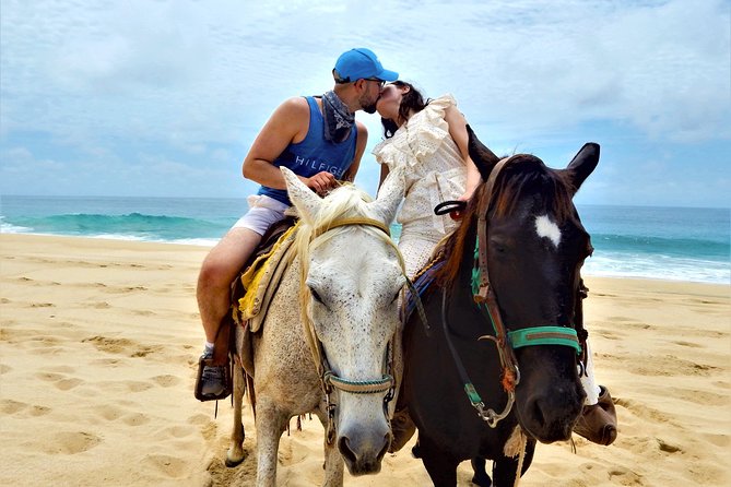 Combo Double Utv + Horses - Why the Double UTV + Horses combo is such a good Cabo plan