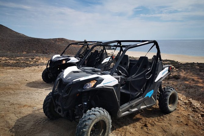 Combo Double Utv + Horses - Horseback riding at the beach: how this part works for beginners and pros