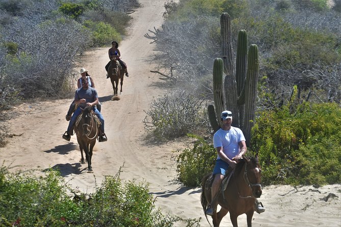 Combo Double Utv + Horses - Guide energy matters more than you think (Emmanuel, Jose, Ino, Bruno)