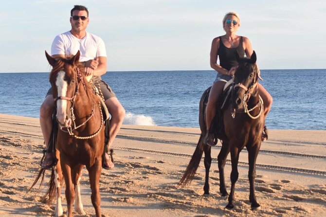 Combo Double Utv + Horses - Price and the true value: what $400 per group gets you