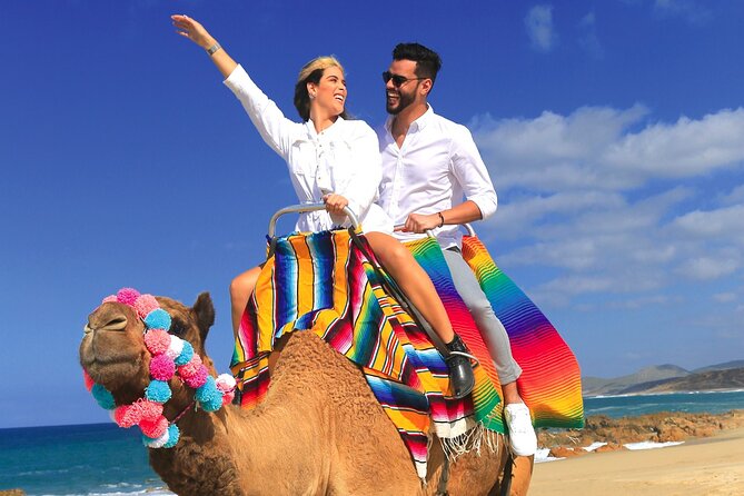 Combo Horseback Ride and Sky Bike in Cabo - Horseback Along the Golden Sands: Mild Ride, Big Views