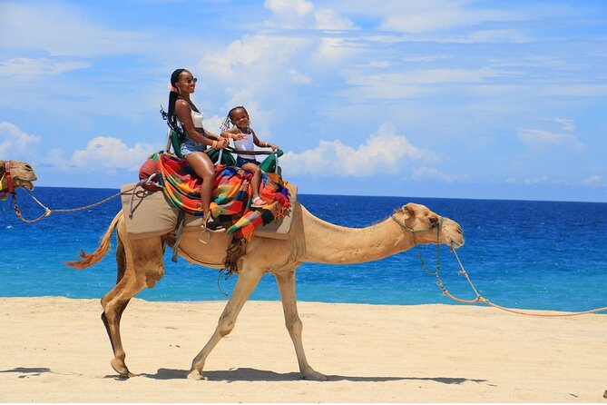 Combo Horseback Ride and Sky Bike in Cabo - Migriño Beach Stop: Ocean Air, Trails, and Ecological Hike