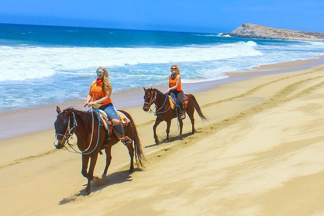 COMBO Horseback Riding & UTV Tour - Cabo in Two Modes: Horses and UTVs at G-Force Adventures
