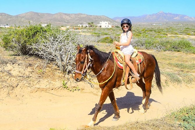 COMBO Horseback Riding & UTV Tour - Transportation, Meeting Point, and What a Small Group Changes