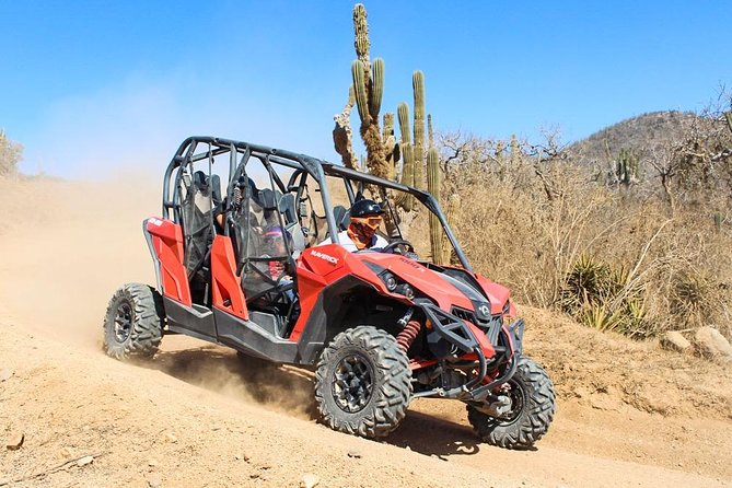 COMBO Horseback Riding & UTV Tour - How the 2-Hour Schedule Breaks Down
