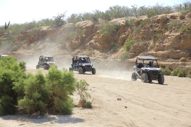 Combo Off Road 4x4 UTV Camel Ride Lunch and Tequila Tasting - Key highlights before you go