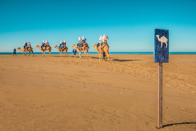 Combo Off Road 4x4 UTV Camel Ride Lunch and Tequila Tasting - Price and value math for $349 per group (plus the extras)