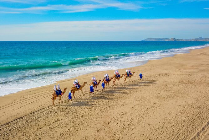 Combo Off Road 4x4 UTV Camel Ride Lunch and Tequila Tasting - Who should do this tour, and who should skip