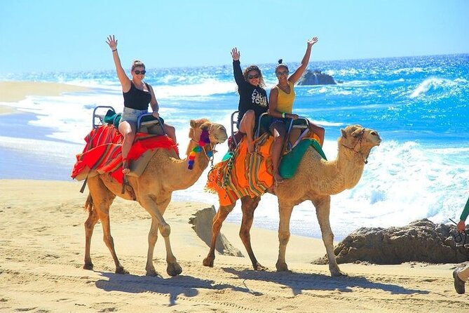 Day Pass Adventure in Los Cabos with Roundtrip Transport - How the day flows in about five hours
