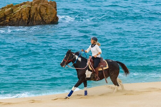 Day Pass Adventure in Los Cabos with Roundtrip Transport - Who this day pass is perfect for
