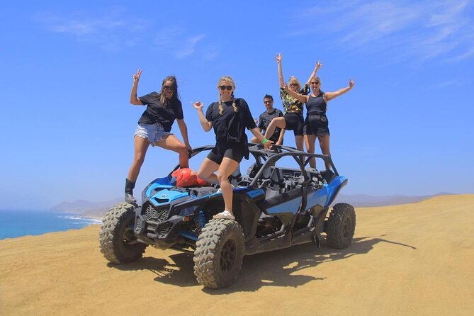 Desert and Beach Buggies Tour - Key Highlights You’ll Feel Right Away