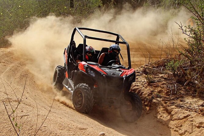 Desert and Beach Buggies Tour - Stop 1: Playa Migrino and Why That Pause Matters