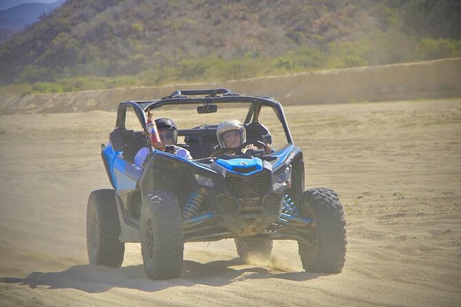Desert and Beach Buggies Tour - Price and Value: What You’re Really Paying For