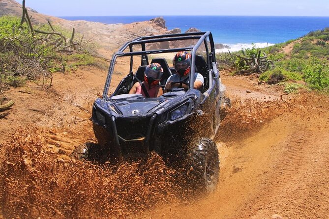 Desert and Beach Buggies Tour - Meeting Points and Pickup That Don’t Waste Your Time