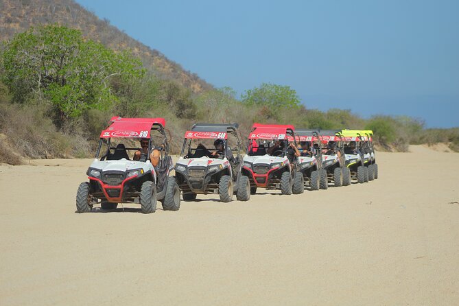 Desert and Beach UTV Adventure with Tequila Tasting - Key Highlights to Know Before You Go