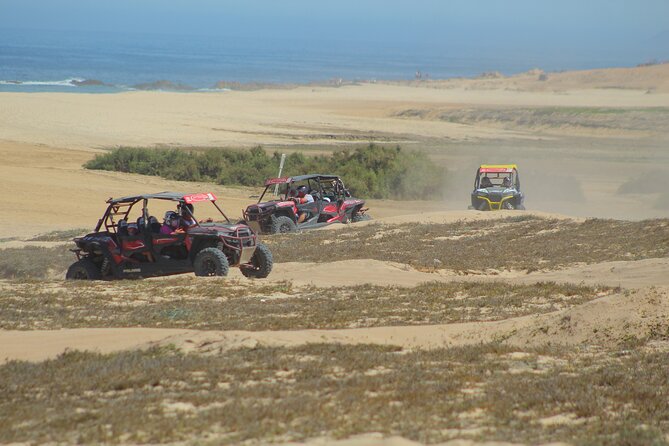 Desert and Beach UTV Adventure with Tequila Tasting - Where You Start: Hotel Pickup to Amigos Activities