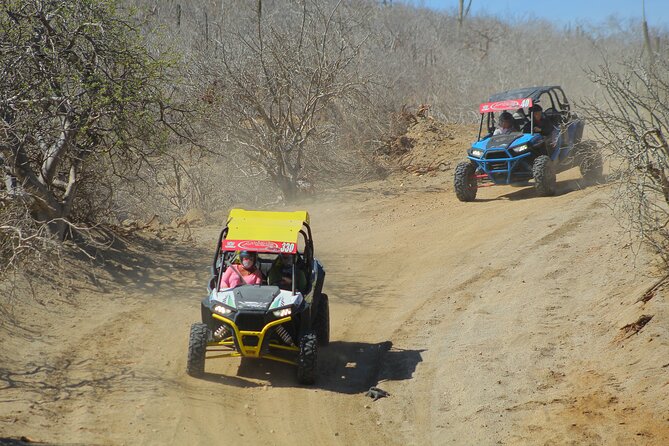 Desert and Beach UTV Adventure with Tequila Tasting - Riding Through Baja Desert: What the Terrain Looks Like