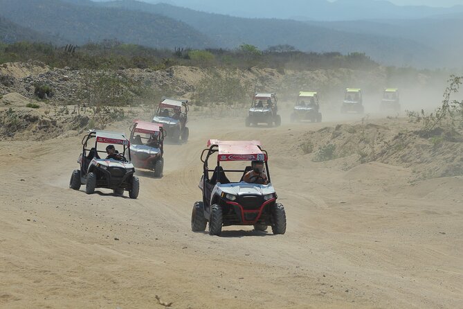 Desert and Beach UTV Adventure with Tequila Tasting - Safety First (Even When It Feels Like Fun)