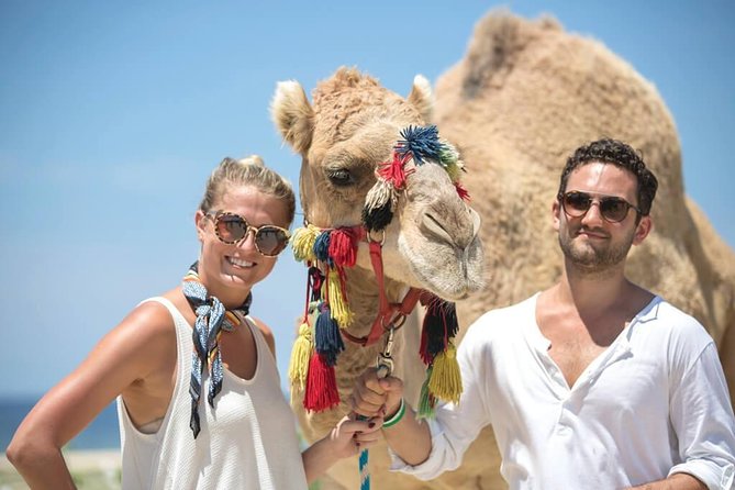 Desert & sea, Camel Safari tour in Los Cabos with lunch - Key highlights worth your attention