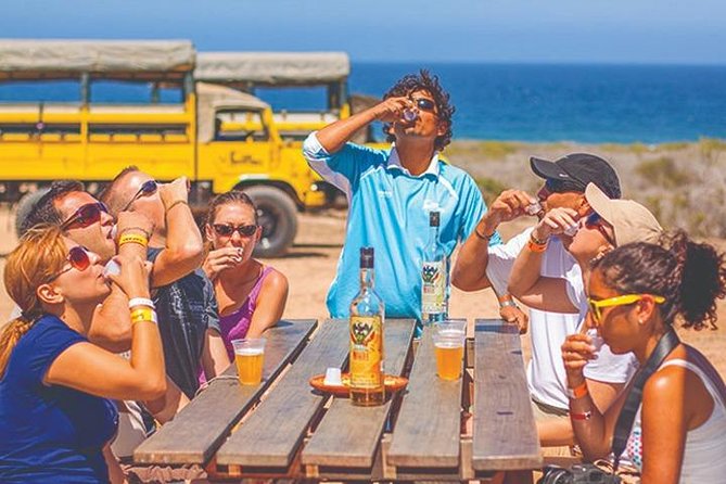 Desert & sea, Camel Safari tour in Los Cabos with lunch - Tierra Sagrada ranch: camel ride, desert sights, and winter whales