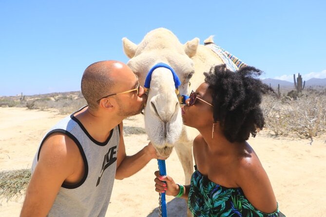 Desert & sea, Camel Safari tour in Los Cabos with lunch - Price and value: is $133 a fair deal?