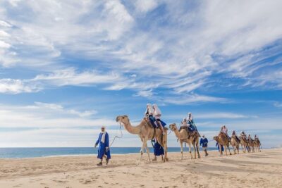 Desert & sea, Camel Safari tour in Los Cabos with lunch - Tequila, mezcal, and Damiana: what the tasting really gives you