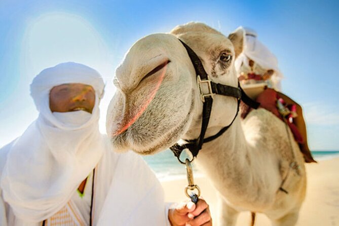 Desert & sea, Camel Safari tour in Los Cabos with lunch - Timing reality check: why the ranch stop can feel quick