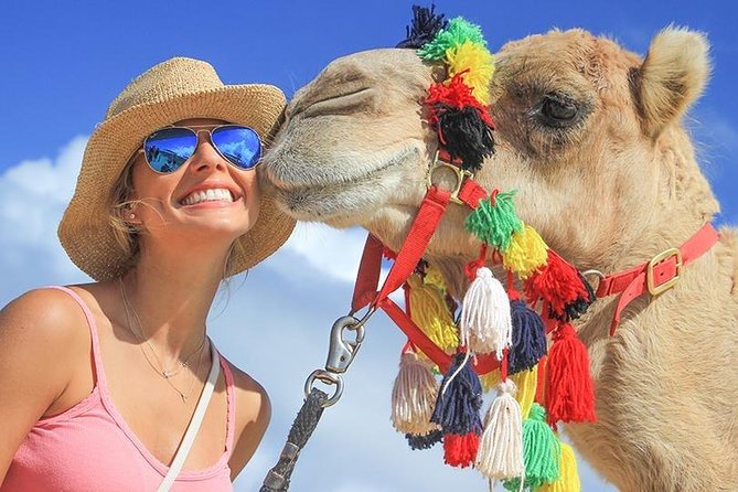Desert & sea, Camel Safari tour in Los Cabos with lunch - Who should book this camel safari from Los Cabos