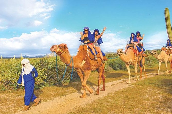 Desert & sea, Camel Safari tour in Los Cabos with lunch - Should you book the desert-and-sea camel safari with lunch?