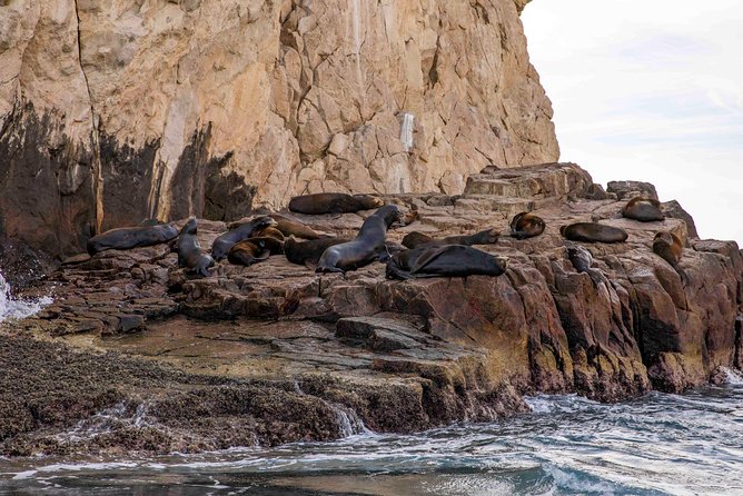 Dinner Cruise Tour in Cabo San Lucas with Tequila Tasting - Weather and Timing Reality: What If It Rains?
