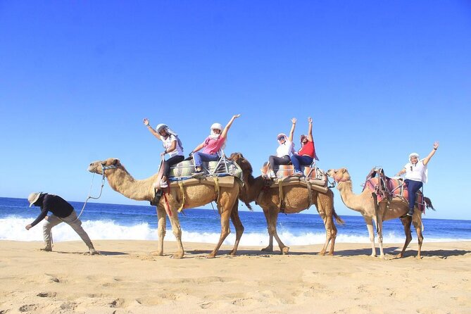 Discover Cabo San Lucas by camel ride - Key Things I’d Bet You’ll Like