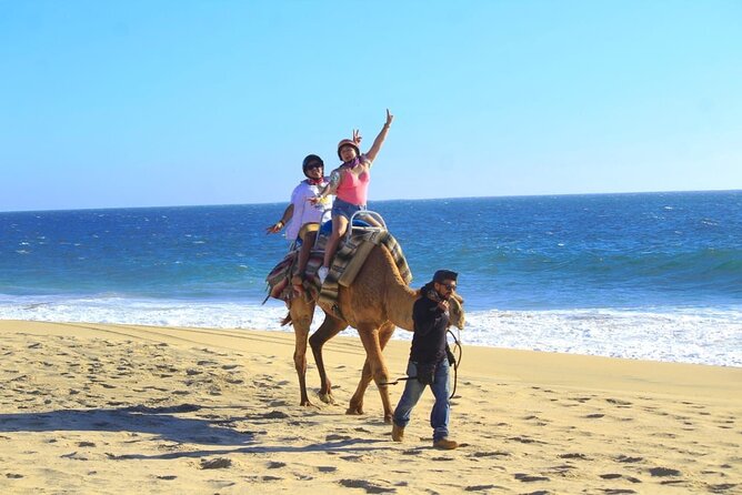 Discover Cabo San Lucas by camel ride - Playa Migrino: A Named Stop That Gives the Ride Structure