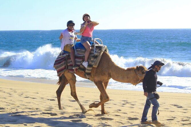 Discover Cabo San Lucas by camel ride - Who This Camel Ride Fits Best (and Who Might Skip It)