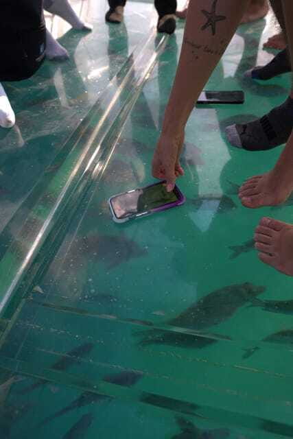 Discover Cabo San Lucas Clear Boat Glass Factory & Tequila - Price and timing: does 5 hours feel worth $81?