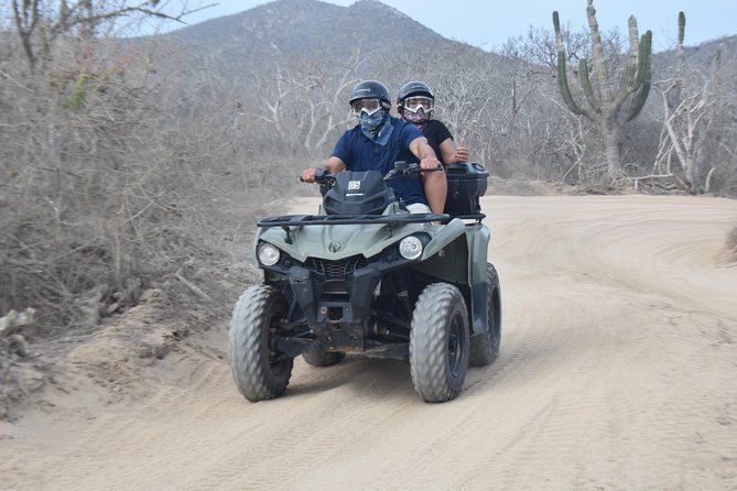 Double ATV Migriño Beach & Desert - Transfers and Timing: Pickup in Cabo Can Add Minutes