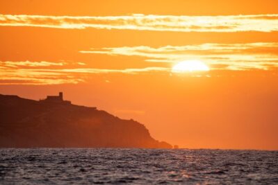 Educational Sunrise Whale Watching with Photos Included - Two Hours Offshore: How the Whale Hunt Actually Plays Out
