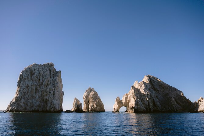 Educational Sunrise Whale Watching with Photos Included - Who This Tour Fits Best (And Who Might Want Something Else)