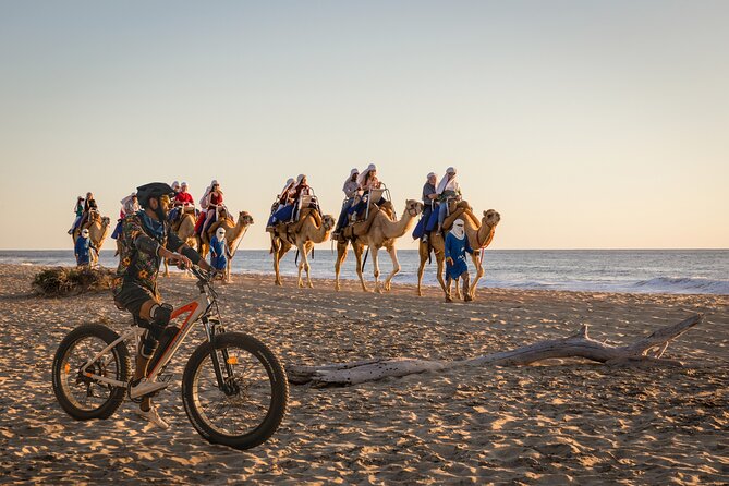 Electric Bike and Beach Camel Ride with Mexican Buffet Lunch - Key Highlights You’ll Actually Care About