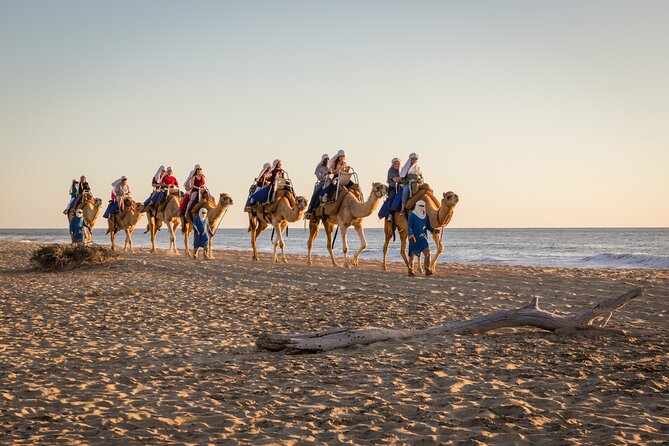 Electric Bike and Beach Camel Ride with Mexican Buffet Lunch - Pickup, Transfers, and the Scenic Coast Ride You’ll Feel in Your Bones