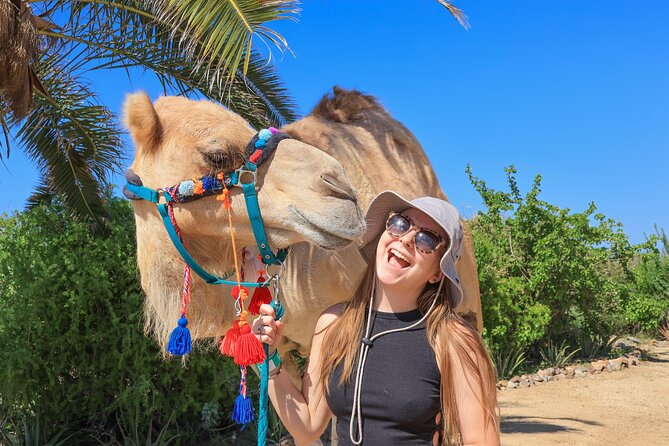 Electric Bike and Beach Camel Ride with Mexican Buffet Lunch - Price and Hidden-Feel Fees: Getting the Real Total for $129