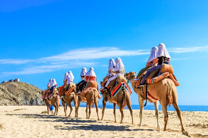 Electric Bike and Beach Camel Ride with Mexican Buffet Lunch - Who Should Book, and Who Might Want a Different Plan