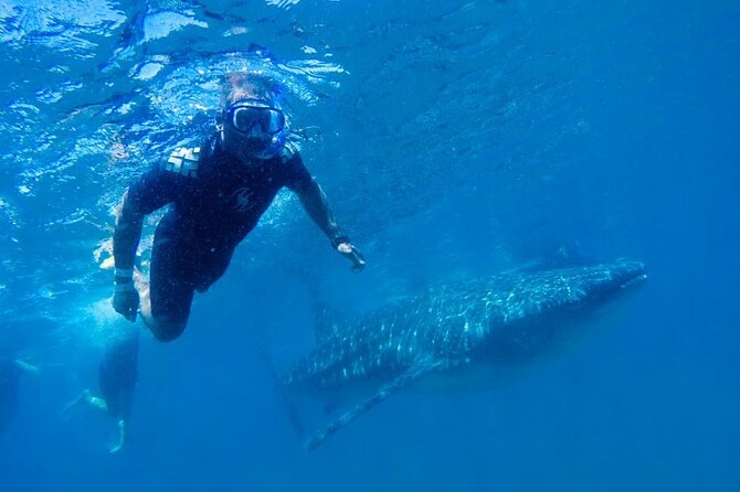 Espíritu Santo Island: snorkel SEA LIONS and Balandra Small Group - Price and Value: Is $131.67 Worth It?