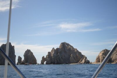 Exclusive Fishing Experience in Los Cabos – Aboard the Phantom I - What you can catch, and what catch-and-release really means here