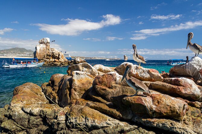 Experience the Clear Boat adventure & Cabo San Lucas City Tour - Glass Factory + Plaza Amelia Wilkes: Where the Tour Shows Its Local Side
