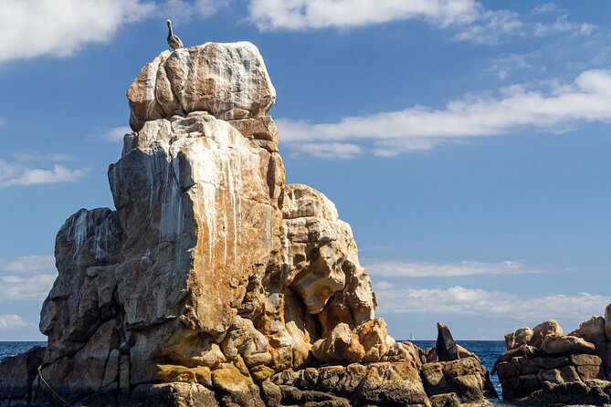 Experience the Clear Boat adventure & Cabo San Lucas City Tour - Who This Cabo San Lucas City Tour Fits Best