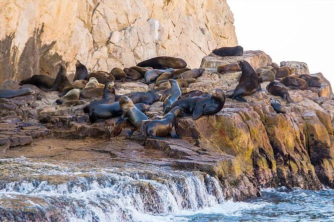 Explore Los Cabos City Tour, Glass-Bottom Boat Ride, Lunch and Shopping! - Shopping stops: souvenirs, sales pressure, and the cash tip
