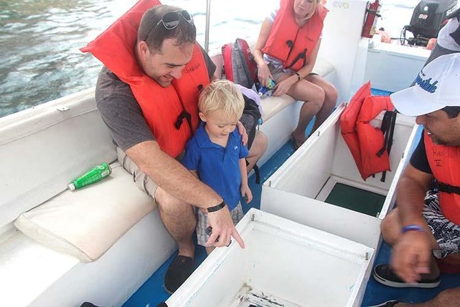 Famous Arch tour with Glass Bottom Boat. - Glass Bottom Boat Expectations: What You Can See Underwater