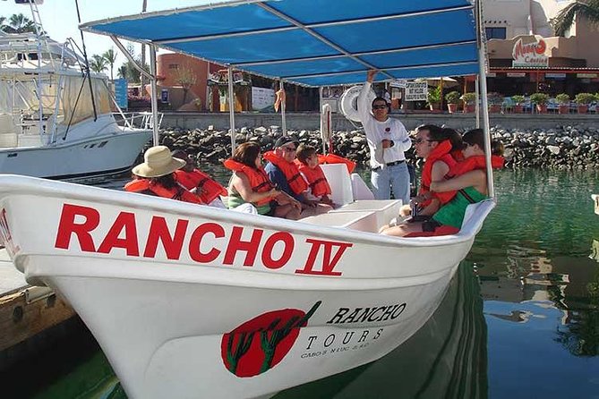 Famous Arch tour with Glass Bottom Boat. - Who This Cabo Glass-Bottom Tour Fits Best (and Who Might Skip It)