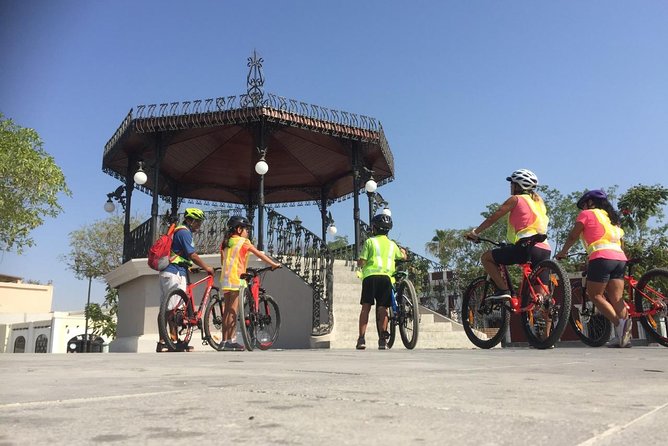 Following the bike lane, discover the main attractions of San José del Cabo - The estuary and bird sanctuary: nature talk plus deeper local context